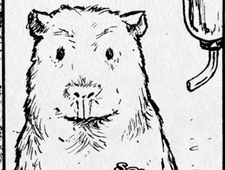 Worms & Guinea Pigs photo