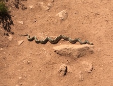 I Used to Watch Touched By An Angel with my Grandmother on CBS photo