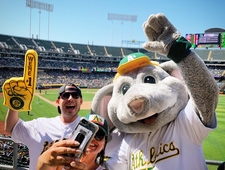 Dispatches from the Treehouse: I Hope Your Parents Are Proud photo