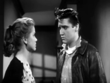 Strictly Horror photo