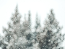 Here is longing photo