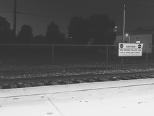 Winter Tangerine photo