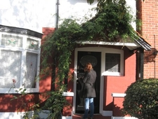 My First Apartment photo