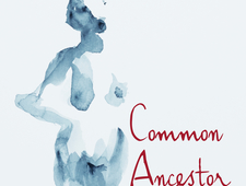 Common Ancestor: An Interview with Jenny Irish  photo