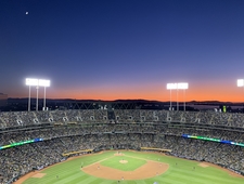 Dispatches from the Treehouse: The Long Season  photo