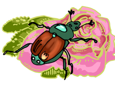 Flutter & Buzz photo