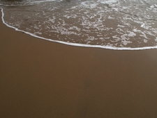 Fine Line, Harry Styles photo