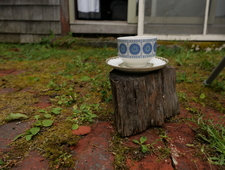 It’s Day Sixteen and I’m Googling Victor Buono photo