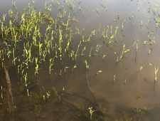 Ken at the Modern Pharmacy photo