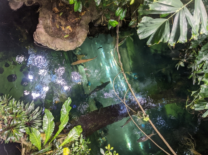 My Children, Who Sleep From the Ceiling photo