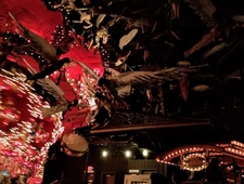 Swordfishtrombones photo