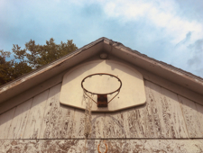 Ball Don't Lie photo