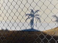 Coal Miner's Daughter photo