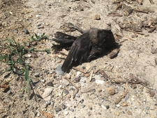 Blessed Are Those Who Have Not Seen and Yet Have Come to Believe photo