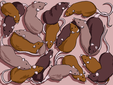 Rats of Autun, 1522 photo