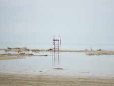 How to Have a Pandemic photo