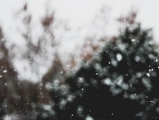 Spark Hunter: Secret Life of a Matchmaker photo