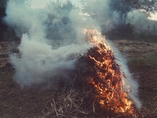 Shake-n-Bake Time photo