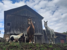 The Midnight Room photo