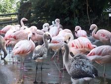 Dates with Charlie photo