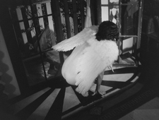 You’re Always In Such A Hurry photo