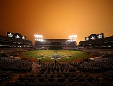 Dispatches from the Treehouse: The Cutout Year  photo