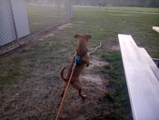 You See What I'm Saying, Right? photo