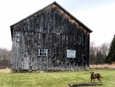 Ten Years Have Passed in Ninety Days photo