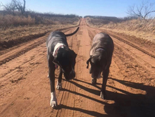 Prison Killed My Libido photo