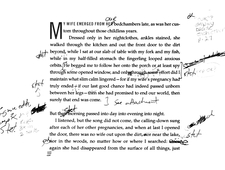 WORD LIST AND STYLE GUIDE FOR IN THE HOUSE UPON THE DIRT BETWEEN THE LAKE AND THE WOODS photo