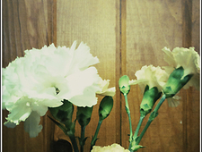 Her Knuckles Little Eggs photo