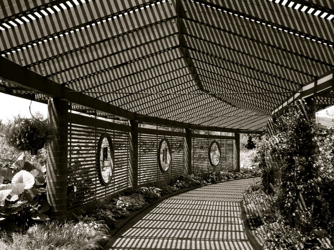 Contrary to belief, I lived  photo