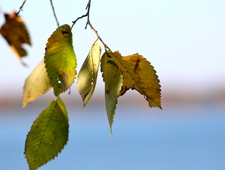 Question for the Rio Grande photo