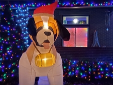 Tracey, what am I meant to do with all this shit? photo