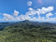 The Old Dog and Eternity photo