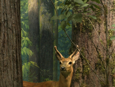 The Stories We Tell photo