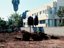 The Sitcom Actor (Who Really, Really Cares) photo