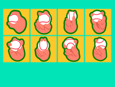 Balk/Change Up/Intentional Walk/Rehab Assignment/The Off Day photo