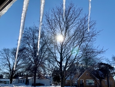 Self-Portrait With Life, Death, And Strep In Between photo