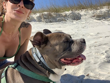 A Brief History of an Extinction photo