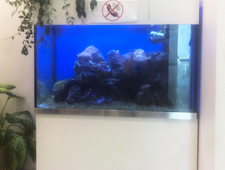 Masturbation is a type of isometric exercise photo