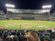 Dispatches from the Treehouse: Cakes and Cats  photo