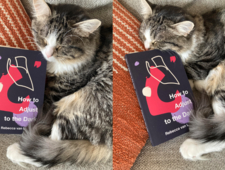 Love and Other Chemical Stimulants: Rebecca van Laer interviewed by Kate Axelrod photo