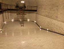 What the Dark Reveals photo