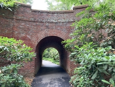 give me all your secrets and I’ll set them on fire photo