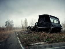 So We Bought A Hearse photo