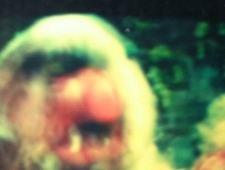 The Beautiful Home of Emma Valdesto photo