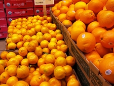 An Ordinary Hour photo