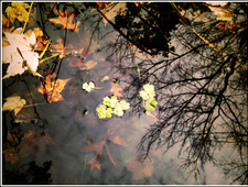 Chorale for the First Rental House on Your Block photo