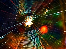 Third Night on Viibryd Without Eating First photo